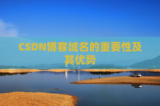 CSDN博客域名的重要性及其优势